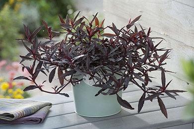 好评游戏《时之刃》登陆Switch 女神赐你穿越神力