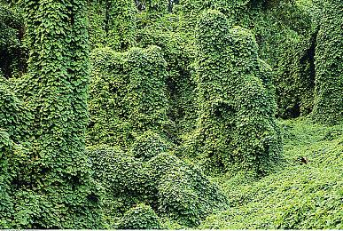 Xbox联合创始人：如今的Xbox其实只是微软游戏部